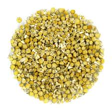 Egyptian Chamomile