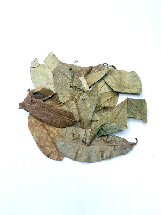 Soursop Leaves