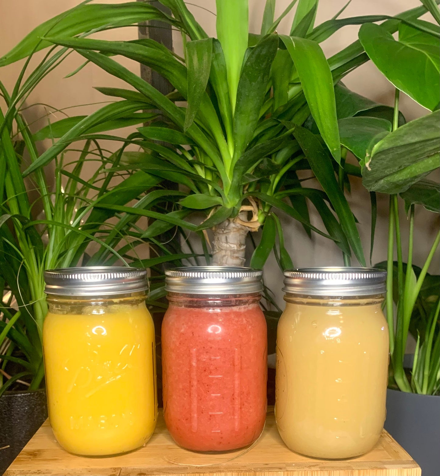 Sea Moss Gel